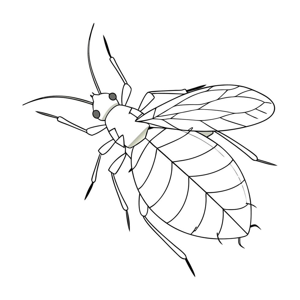 Detailed Aphid Insect Design on White vector