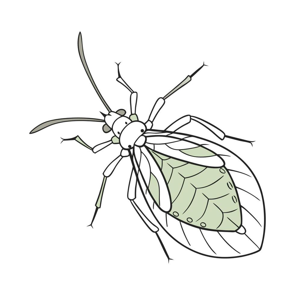 Artistic Aphid Insect Design on White vector