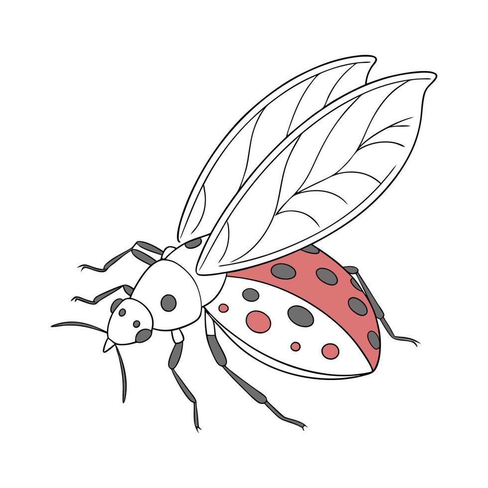 General Aphid on White Background vector