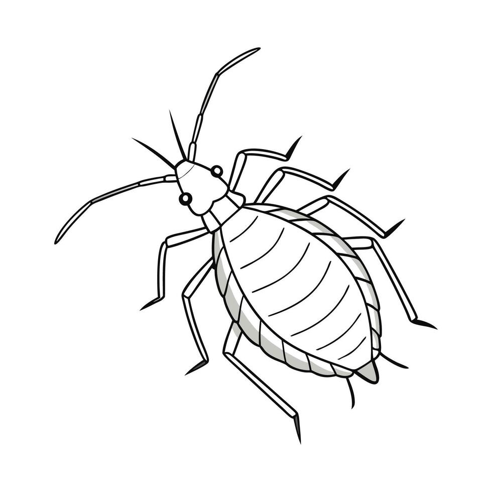 Aphid Insect Design with White Background vector