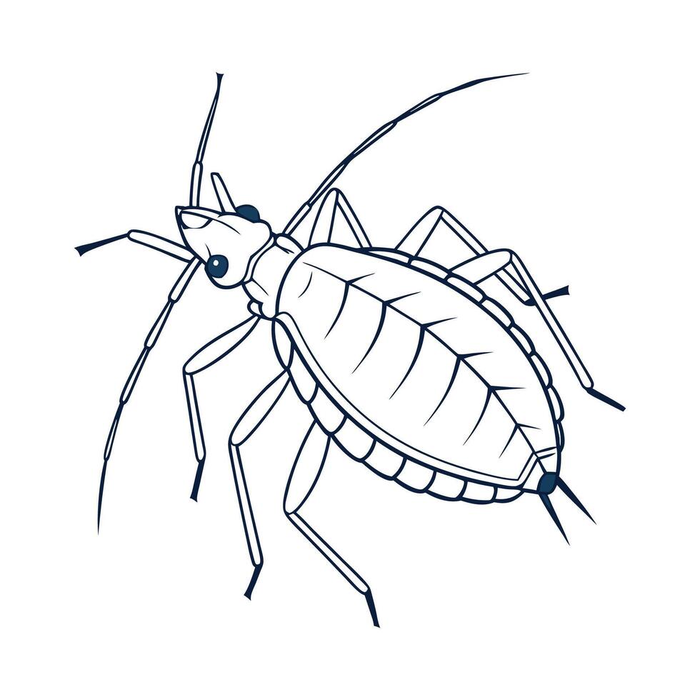 Creative Aphis Fabae Insect Illustration vector