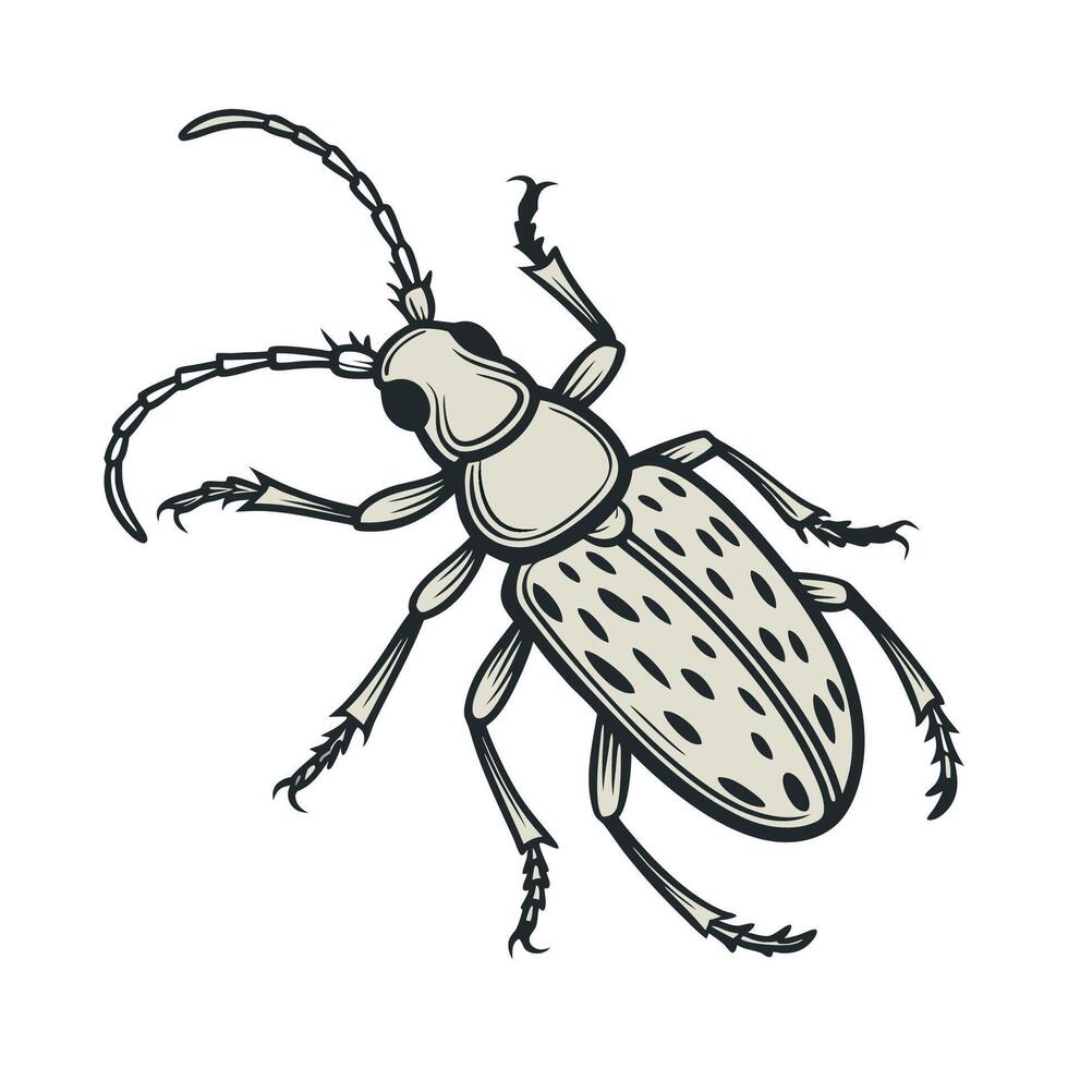 Stylish Aretaon Asperrimus Insect Graphic vector