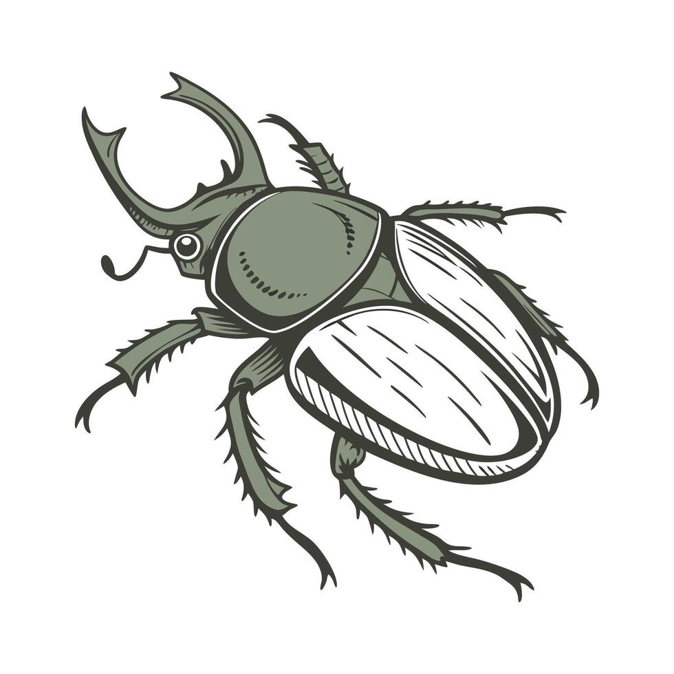 Beautiful Asbolus Verrucosus Insect Illustration vector