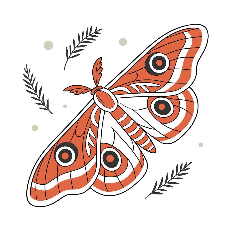 Beautiful Automeris Belti Moth Design vector