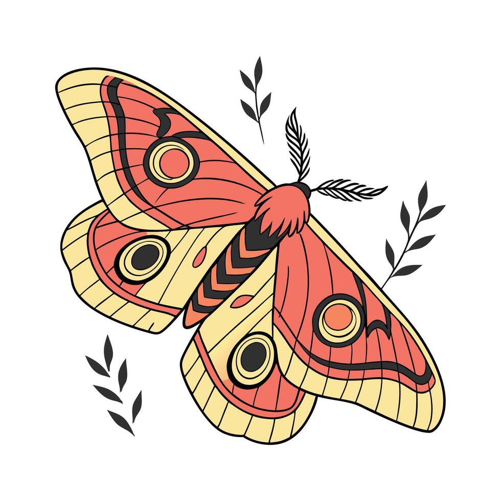 Stylish Automeris Io Moth Graphic on White vector