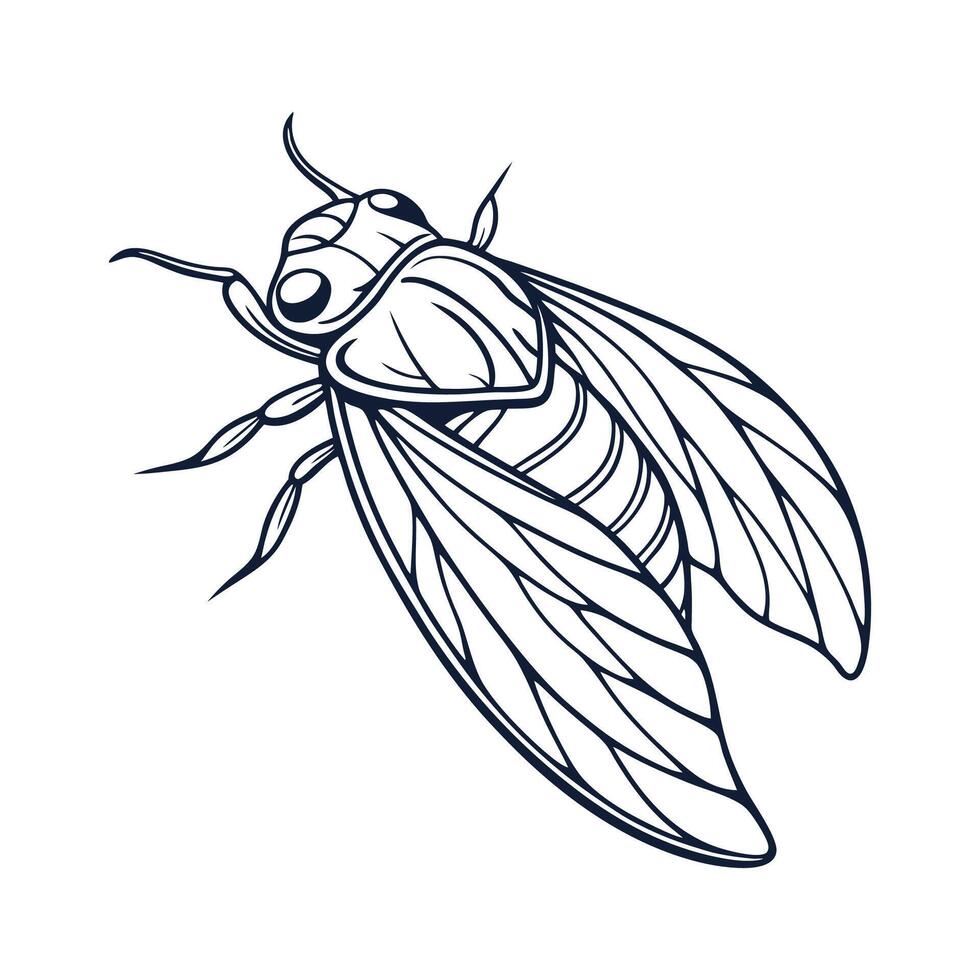 Stylish Baetis Rhodani Design on White vector