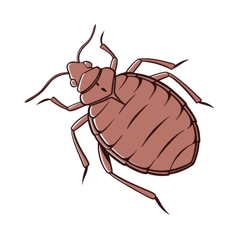 Creative Bedbug Insect Graphic on White vector