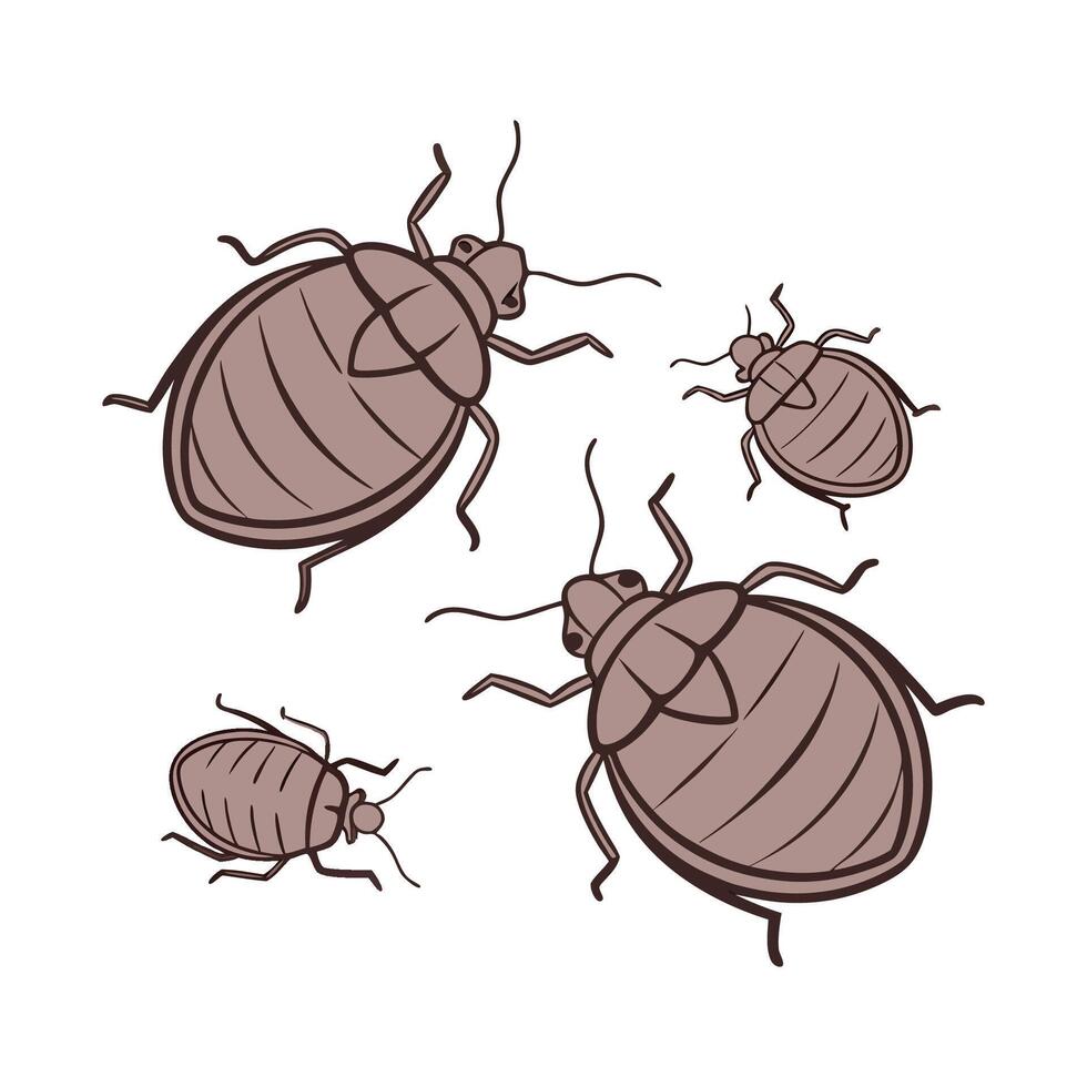Bedbugs Group Design on White Background vector