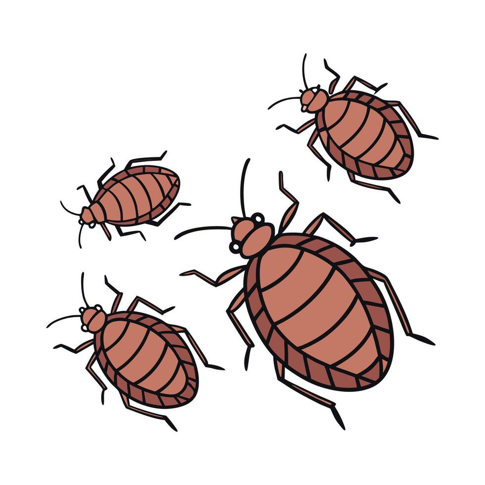 Beautiful Bedbugs Design on White Background vector