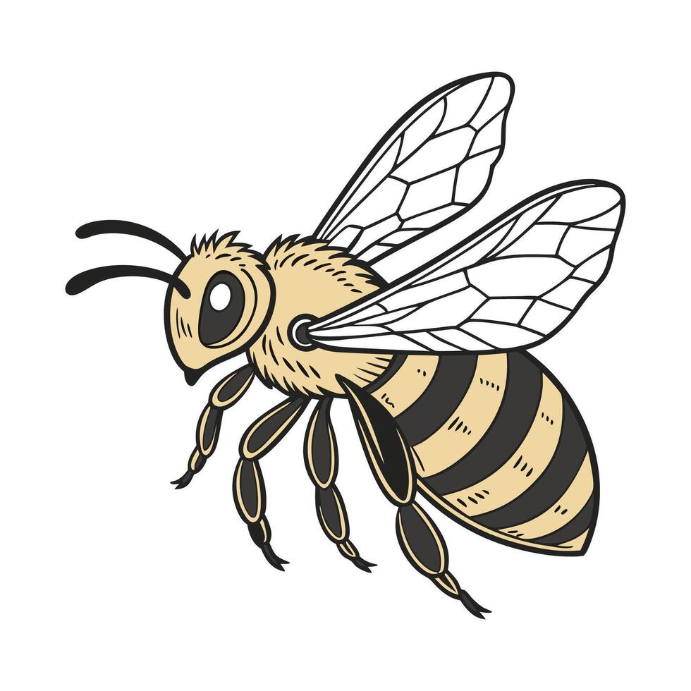 General Bee on White Background vector