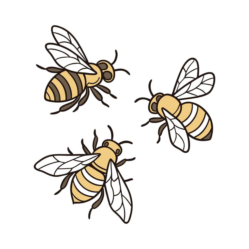 Stylish Bees Insect Illustration on White vector