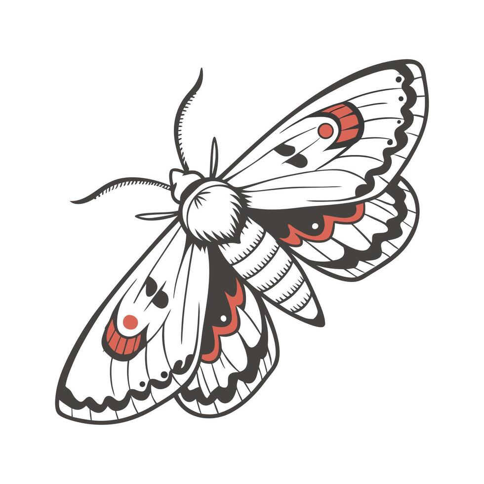 Creative Biston Betularia Moth Graphic vector