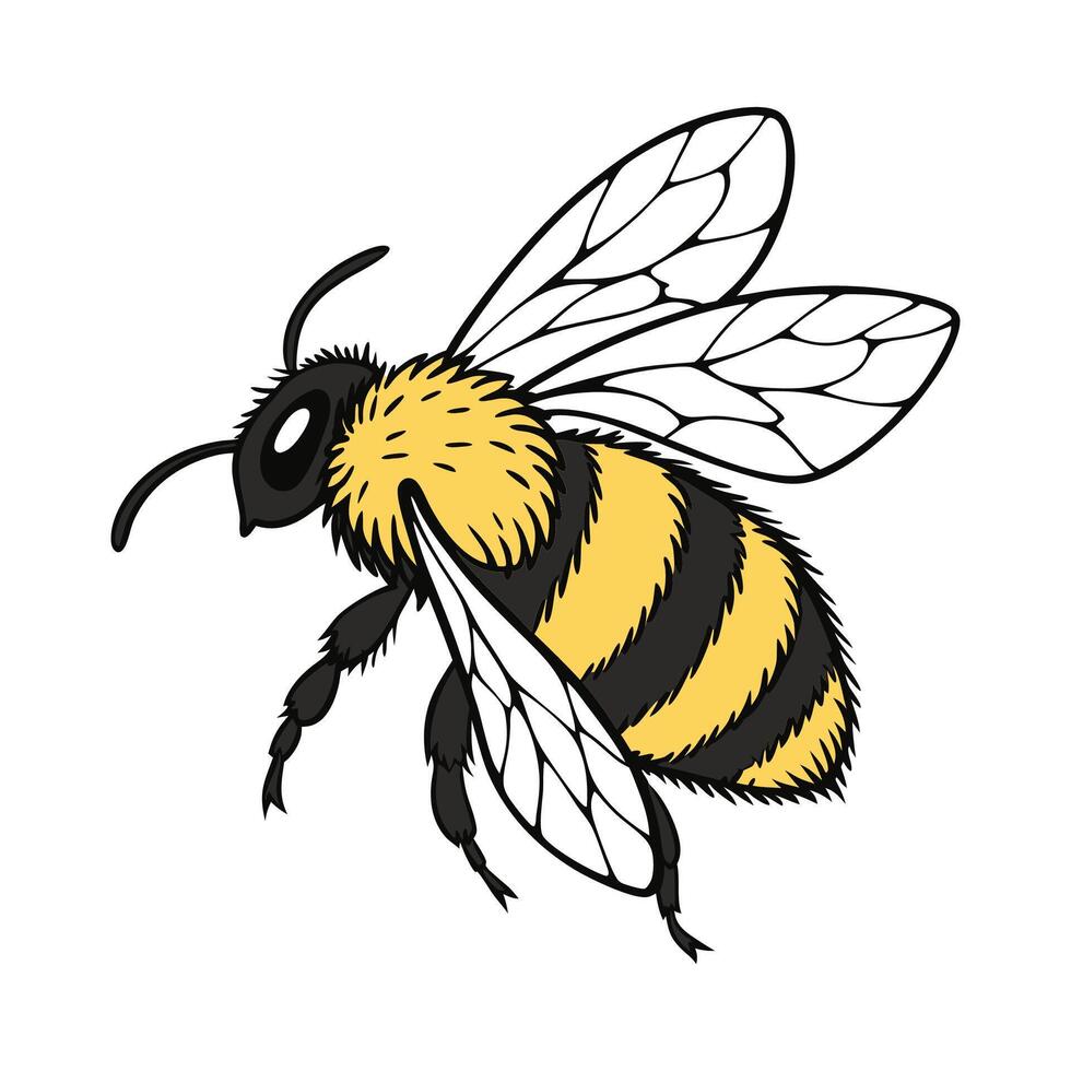 Beautiful Bombus Bee Design on White vector
