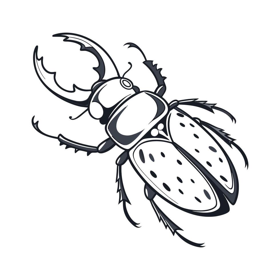 Boreus Hyemalis Mecoptera Design on White vector