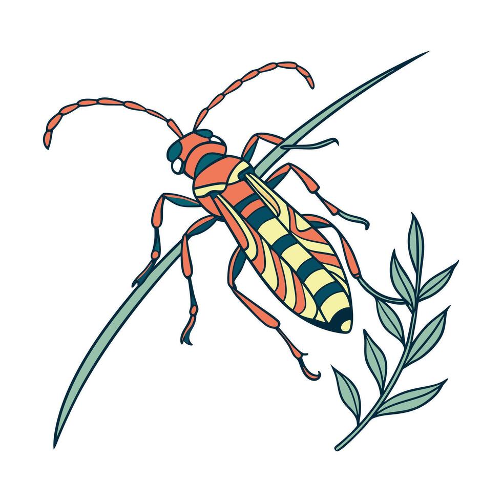 Creative Brachygastra Lecheguana Graphic vector