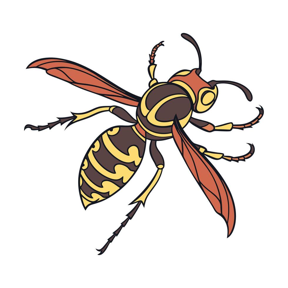 Stylish Brachygastra Lecheguana Illustration vector