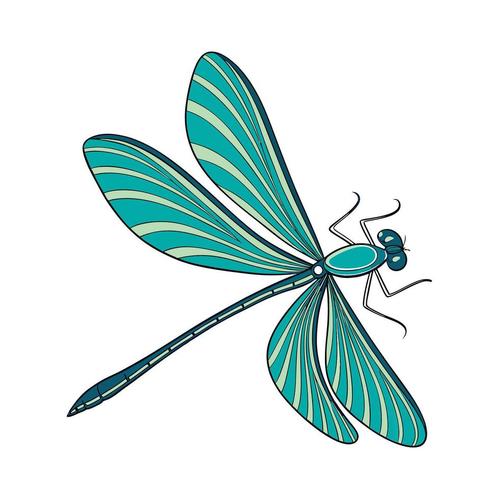 Stylish Calopteryx Splendens Dragonfly Illustration vector