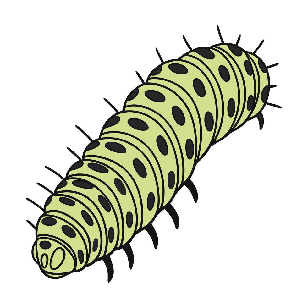 Caterpillar Illustration White Background vector