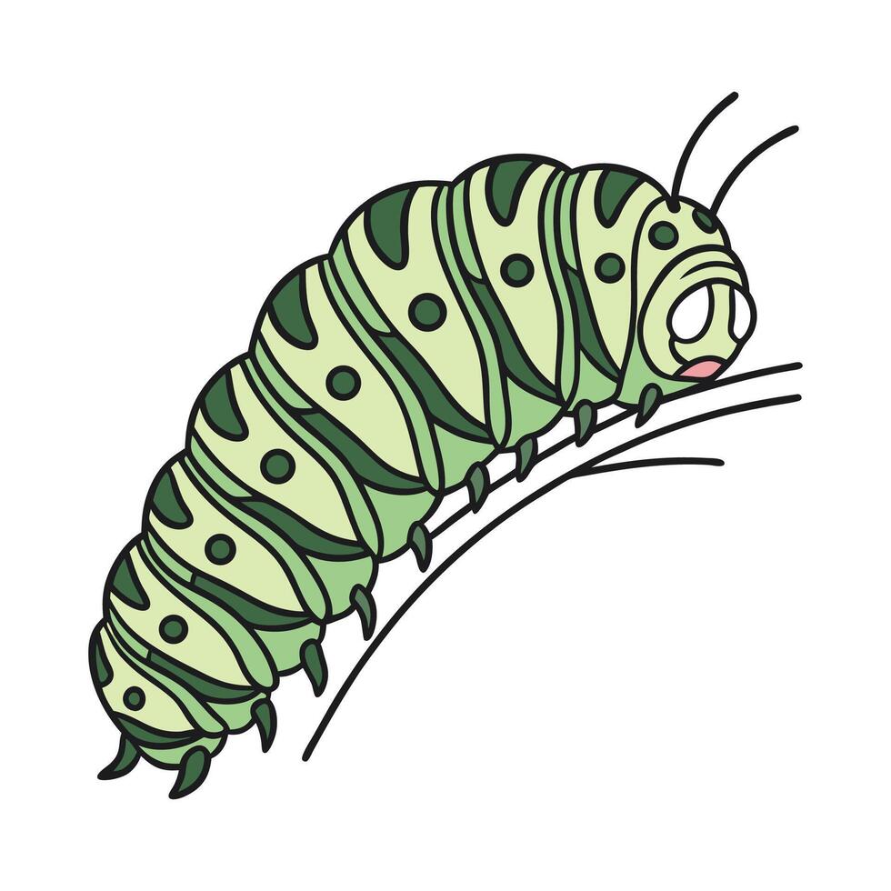 Creative Caterpillar Graphic on White vector