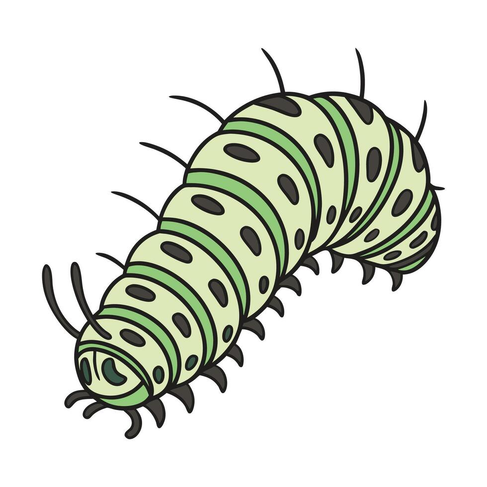 Stylish Caterpillar Illustration Design vector