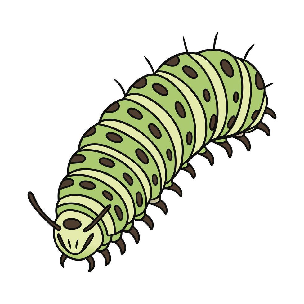 Realistic Caterpillar Art on White vector