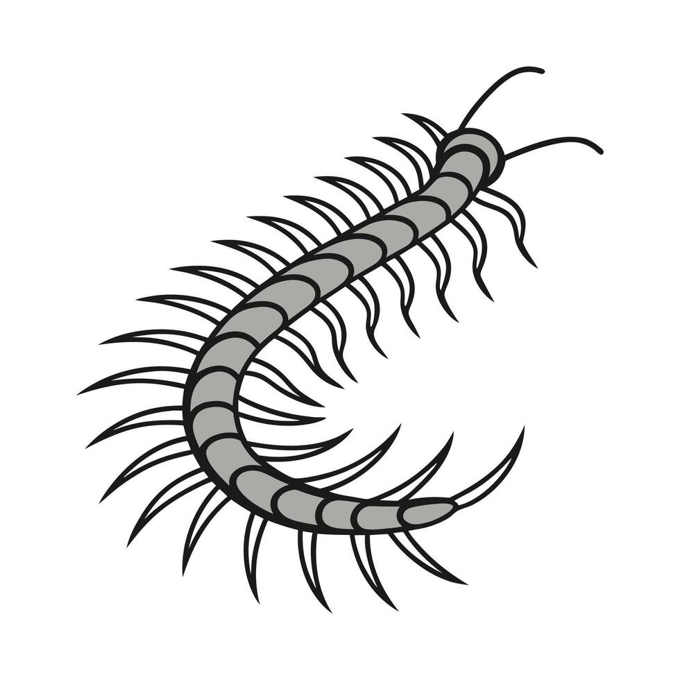 Stylish Centipede Design on White vector