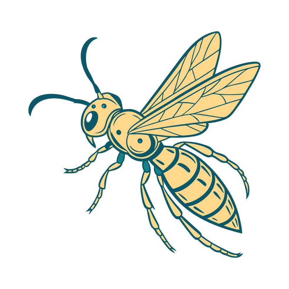 Creative Chrysis Ignita Graphic vector
