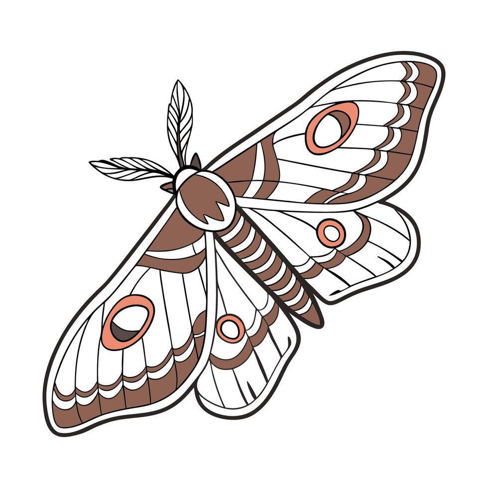 Stylish Citheronia Regalis Moth Illustration vector