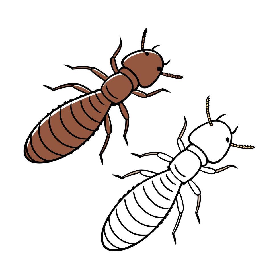 Stylish Coptotermes Formosanus Illustration vector