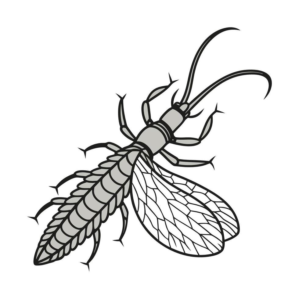 Stylish Corydalus Cornutus Illustration vector