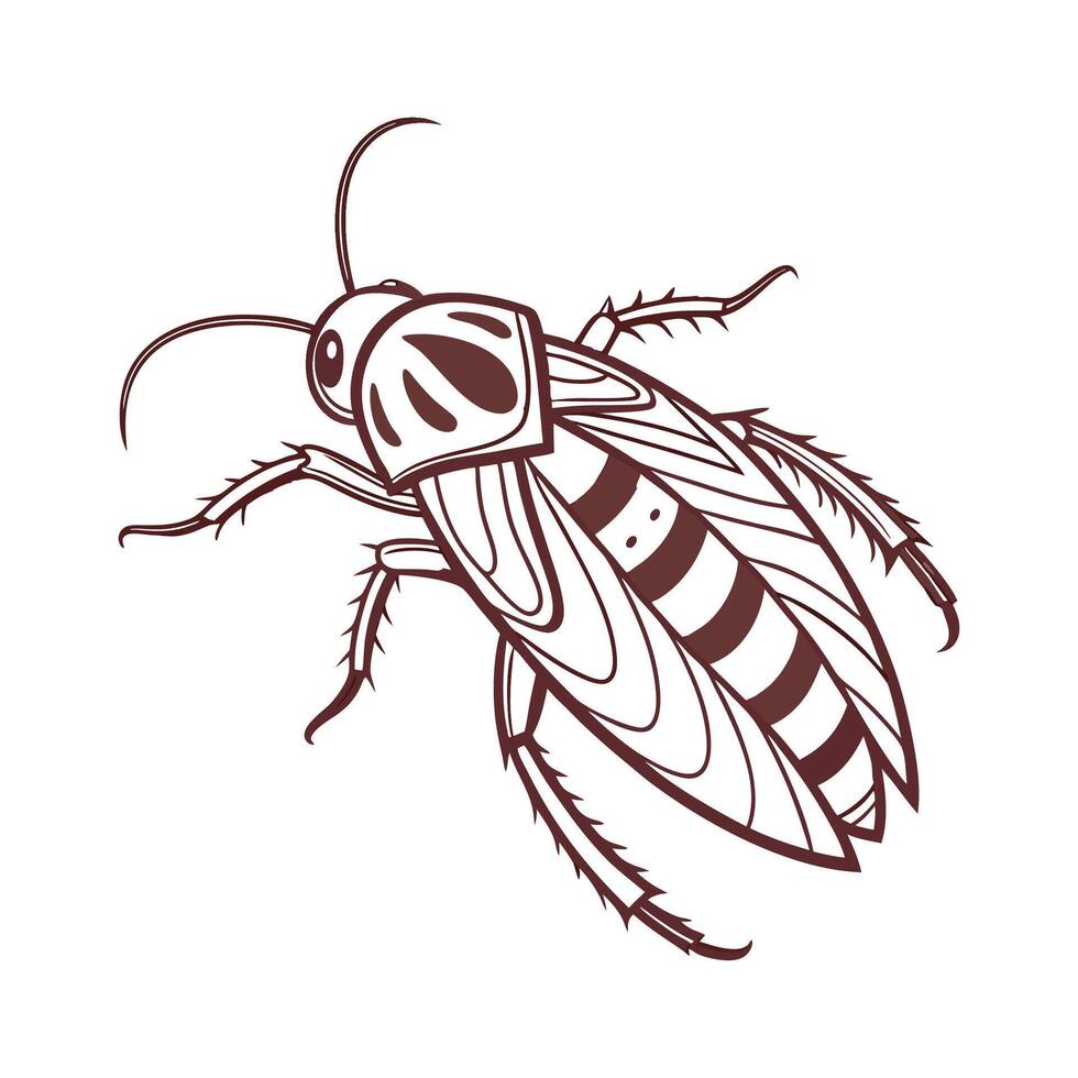 Stylish Coscinia Striata Moth Illustration vector