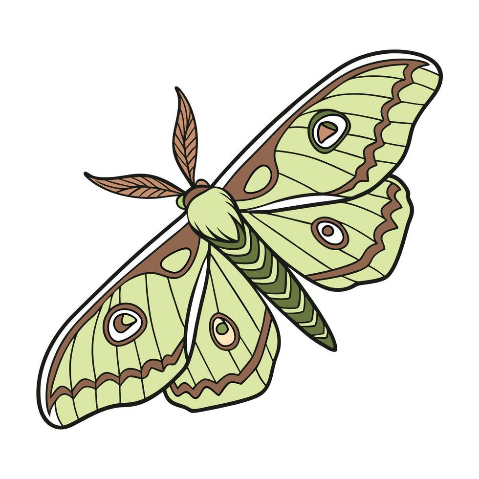 Beautiful Coscinocera Hercules Design vector