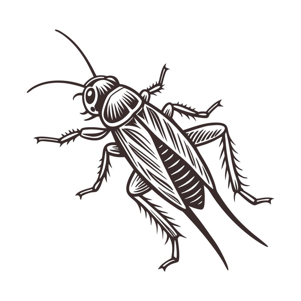 Creative Cricket Graphic vector