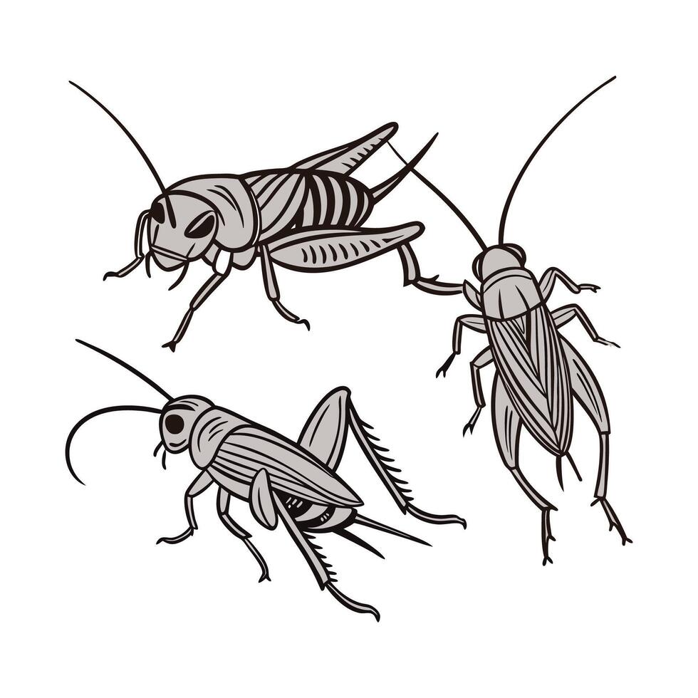 Crickets Group Design on White vector