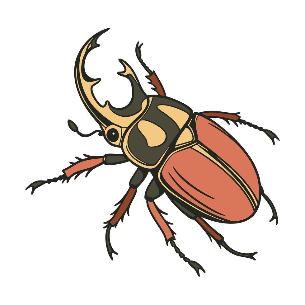 Stylish Criorhina Berberina Illustration vector
