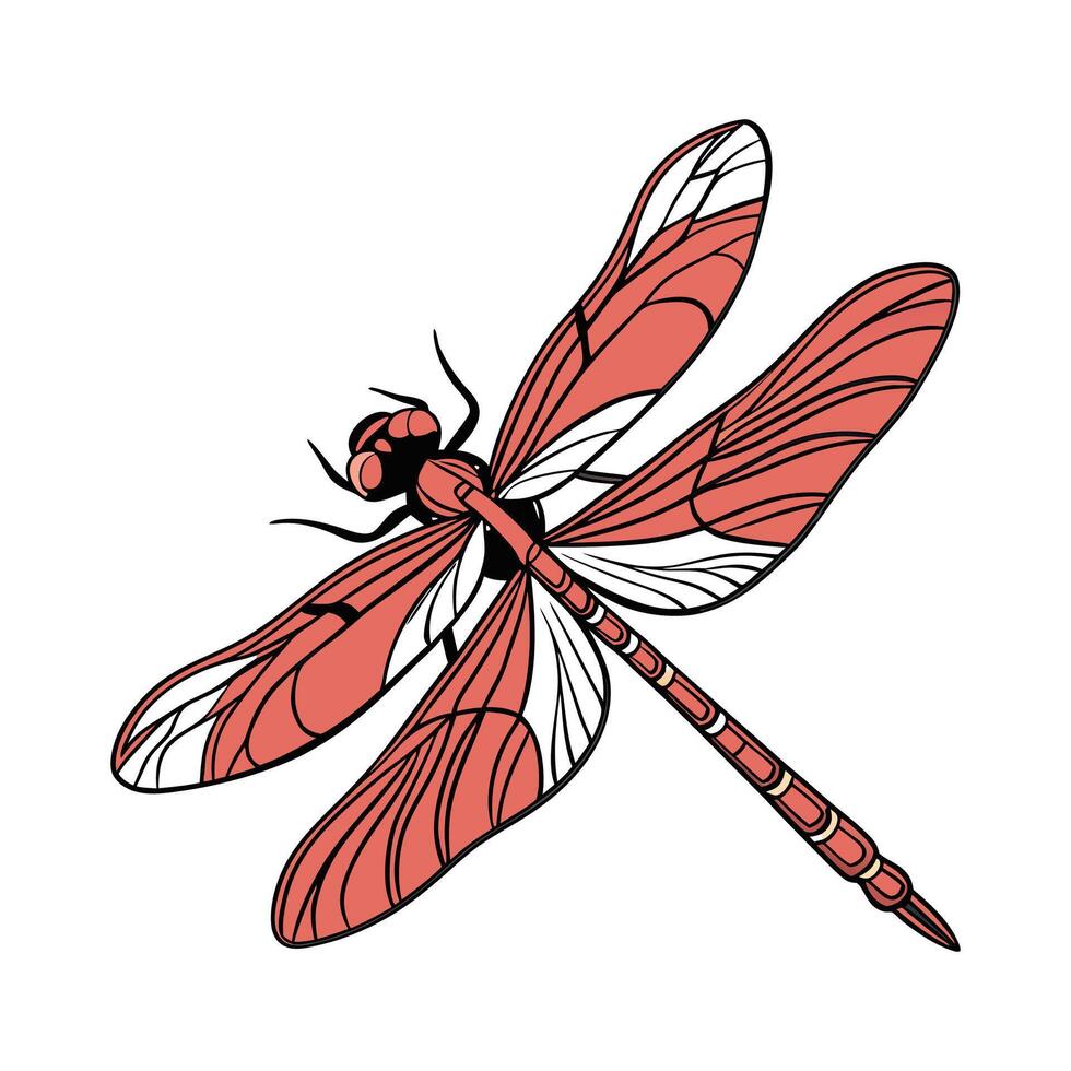 Stylish Crocothemis Erythraea Dragonfly Illustration vector