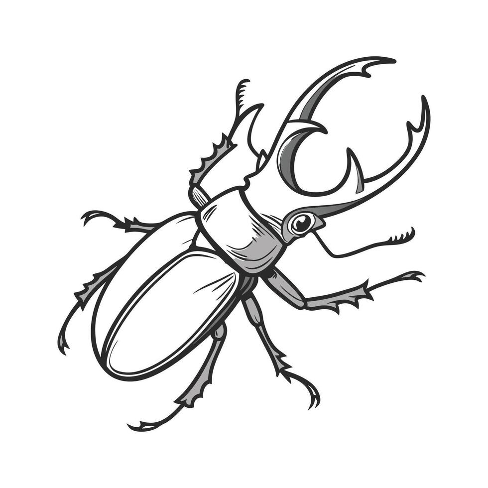 Cryptocercus Punctulatus Design on White vector