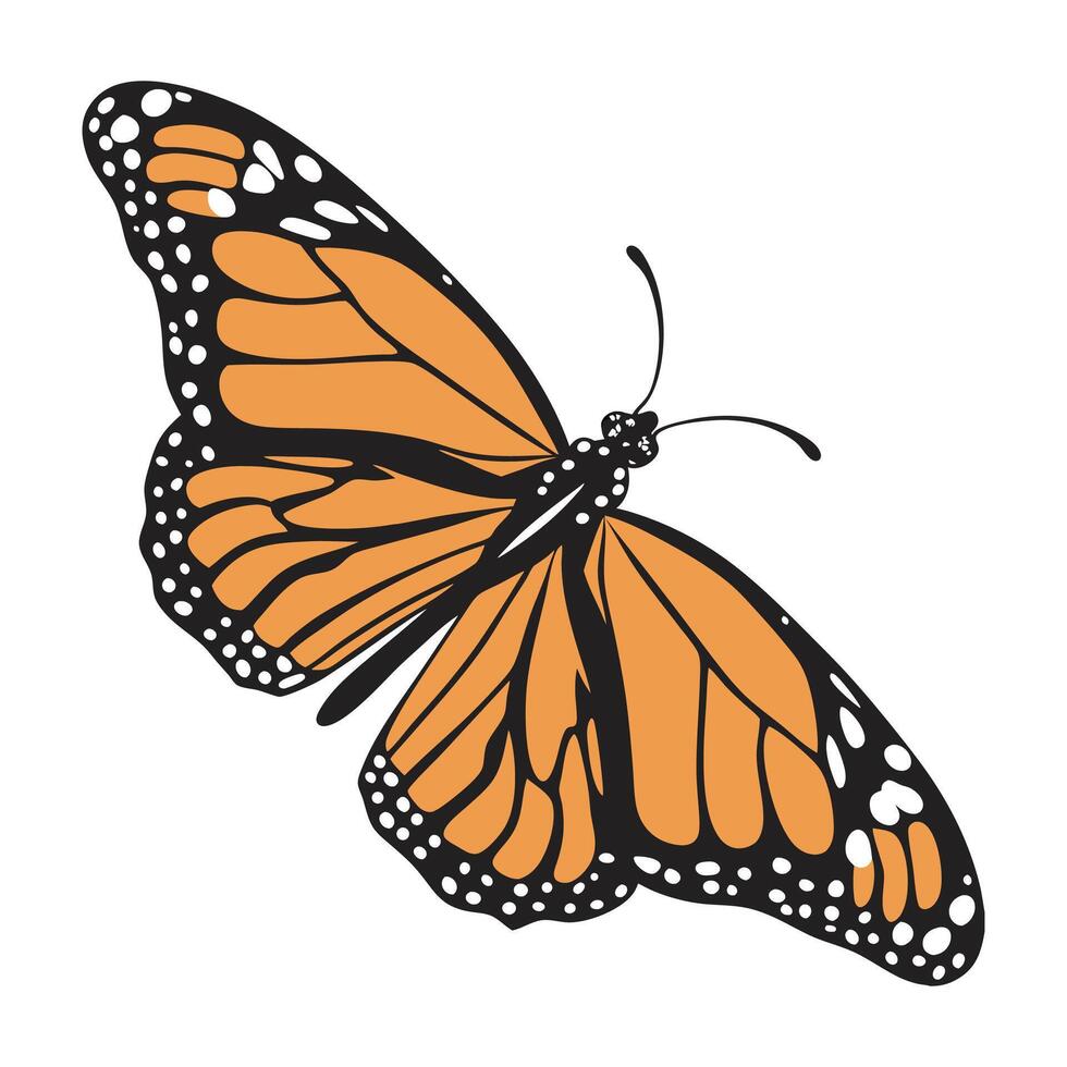 Stylish Danaus Plexippus Illustration vector