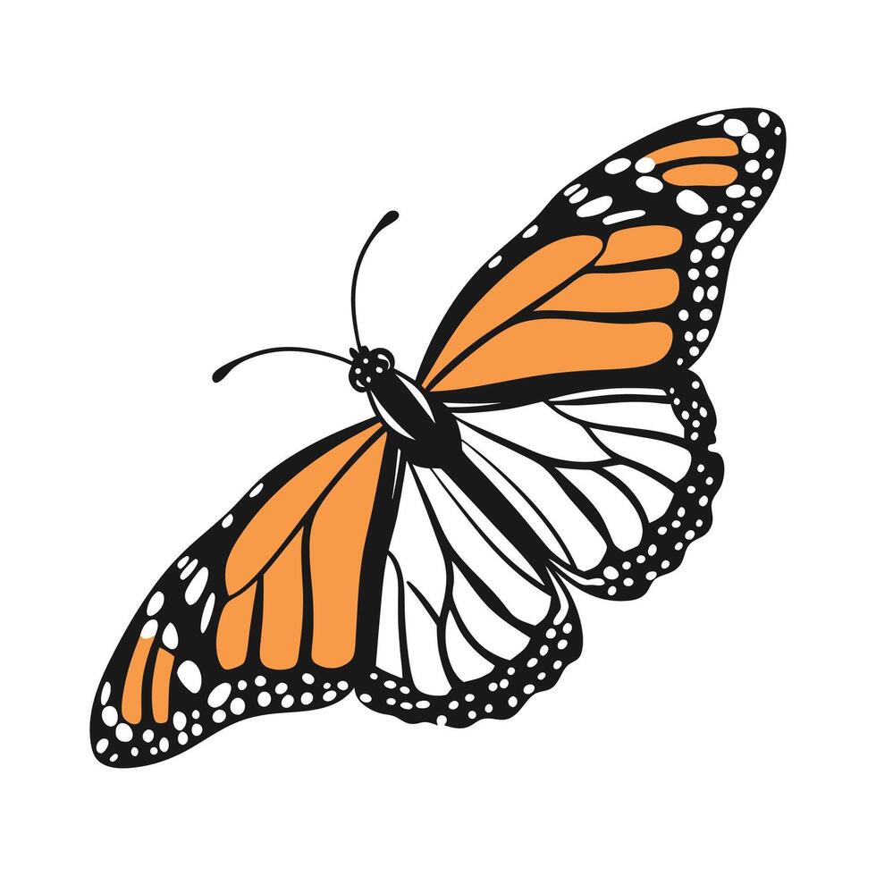 Creative Danaus Plexippus Graphic vector