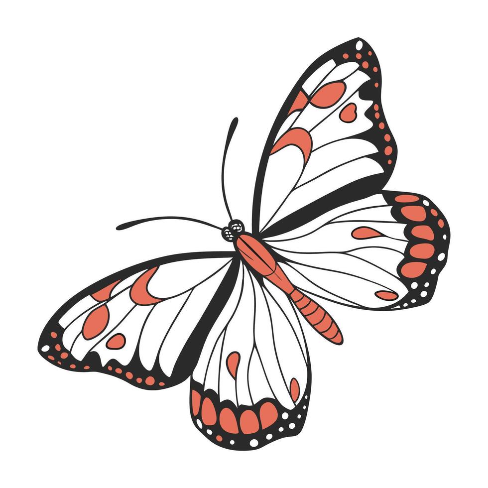 Creative Delias Hyparete Graphic vector