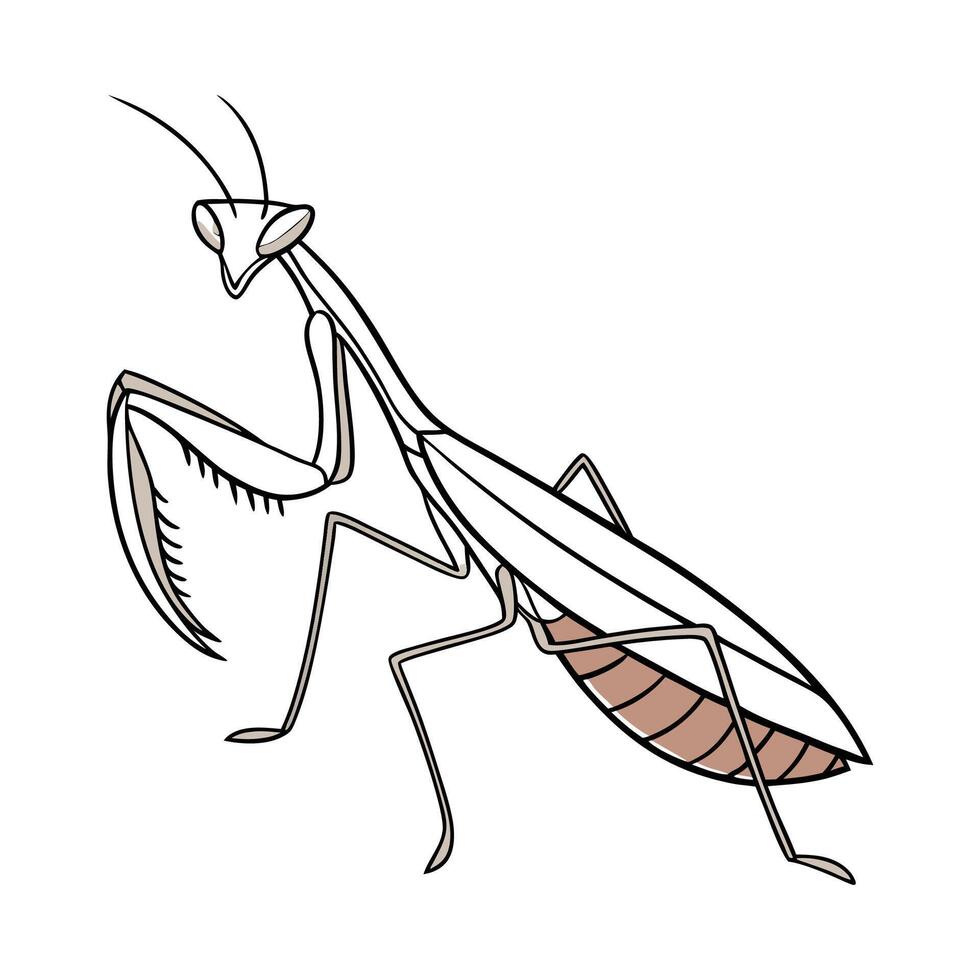 Beautiful Deroplatys Desiccata Design vector