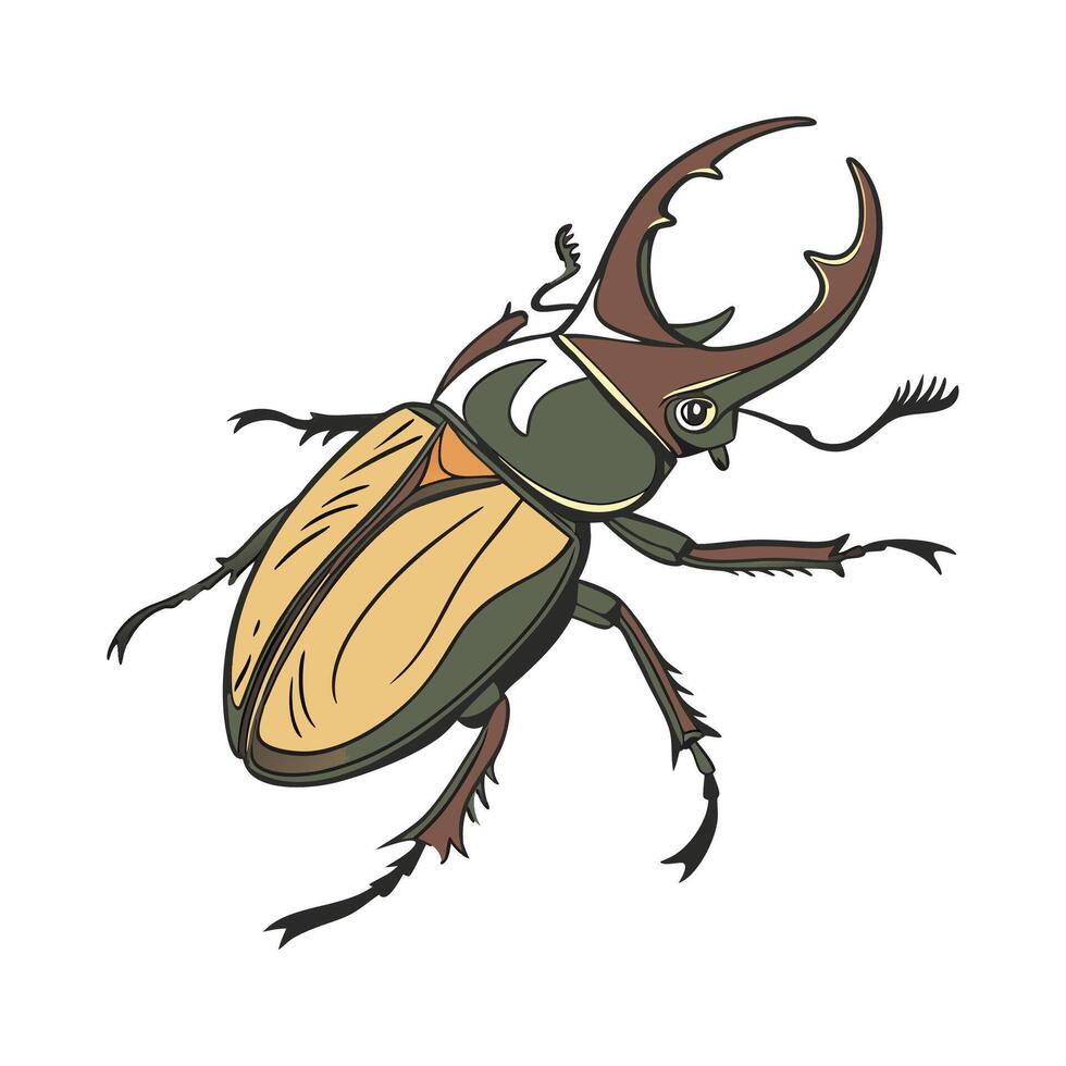 Creative Diapherodes Gigantea Graphic vector