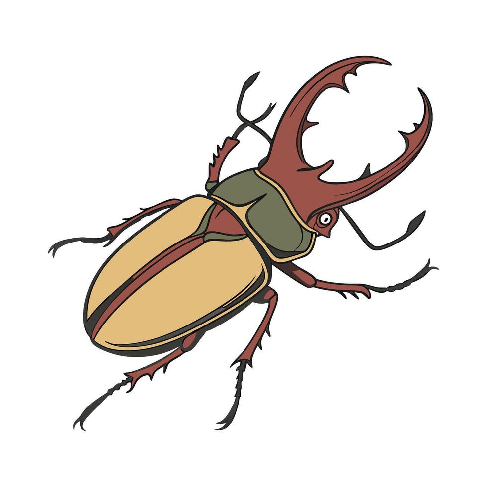 Beautiful Diapherodes Gigantea Design vector