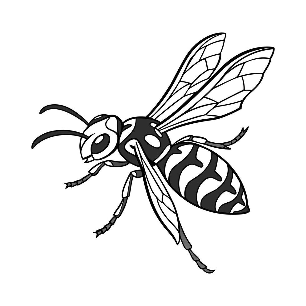 Dolichovespula Maculata Wasp Design on White vector