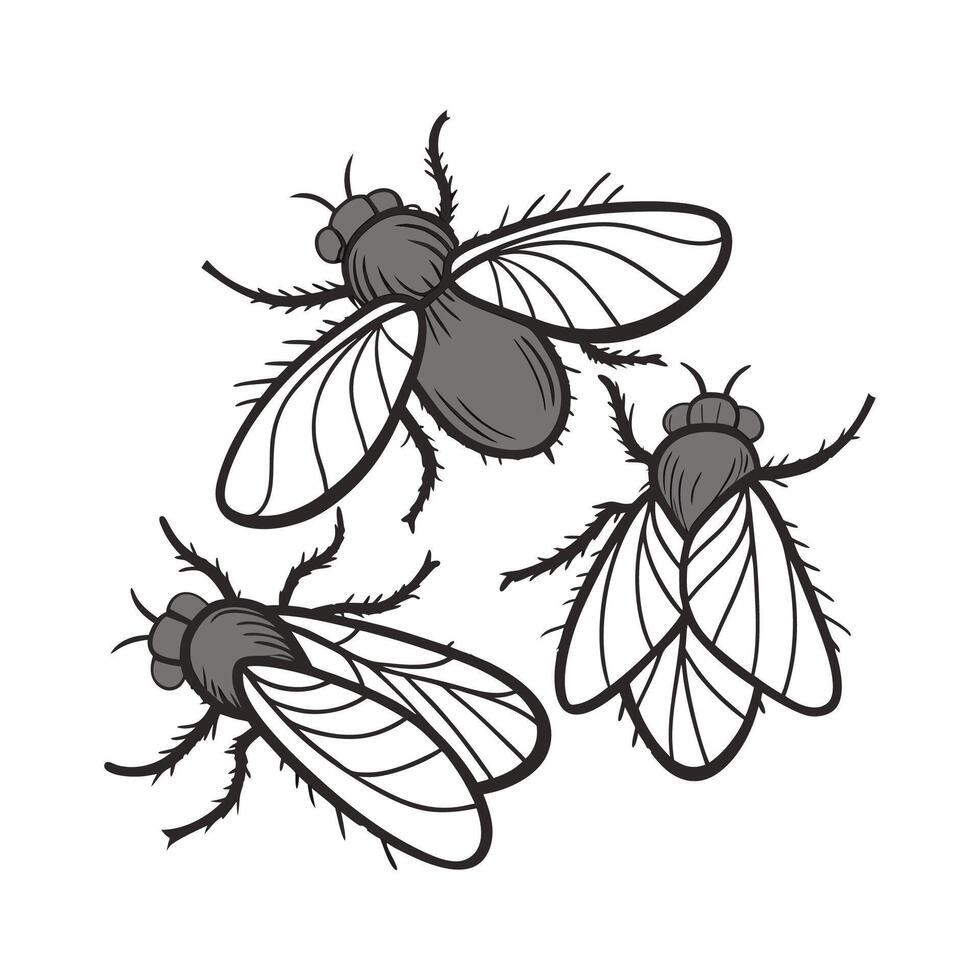 Drain Flies Group Design 1 on White vector