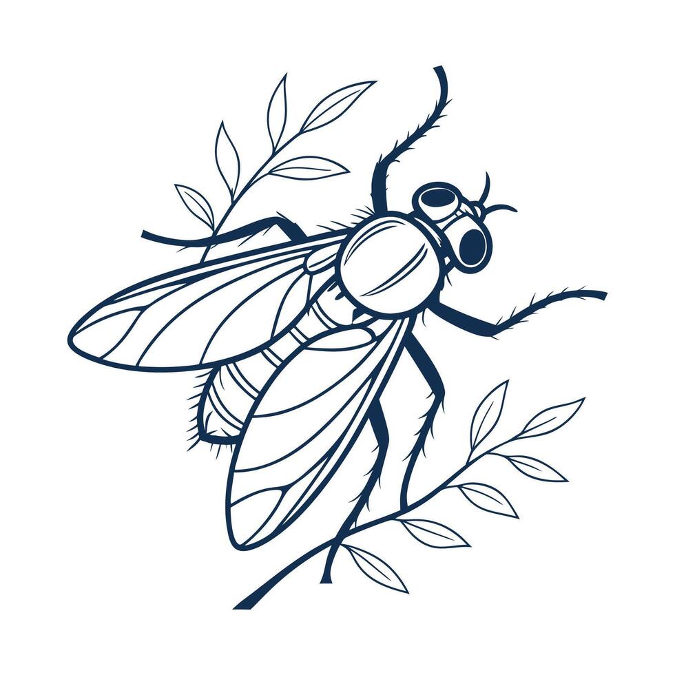 Empis Livida Fly Design 1 vector