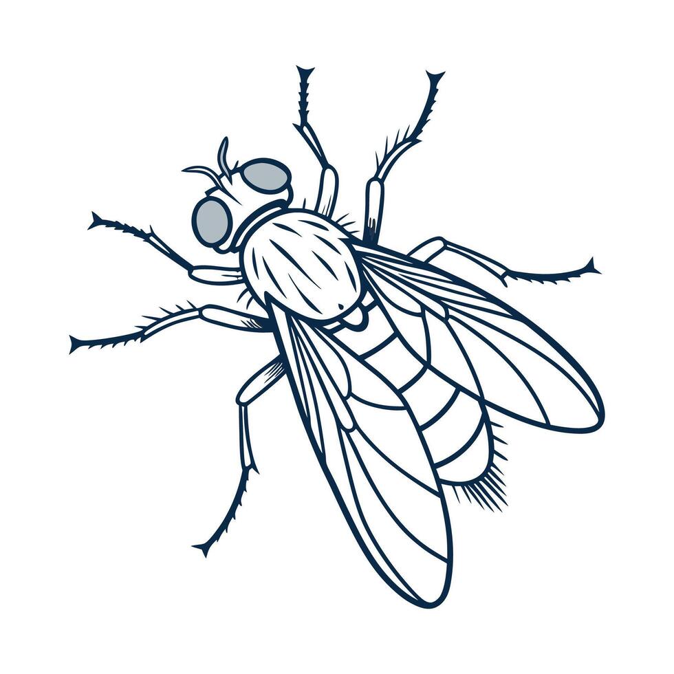 Creative Empis Livida Graphic 2 vector