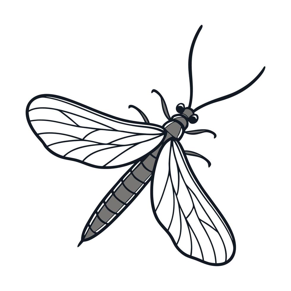 Creative Ephemera Vulgata Graphic 2 vector