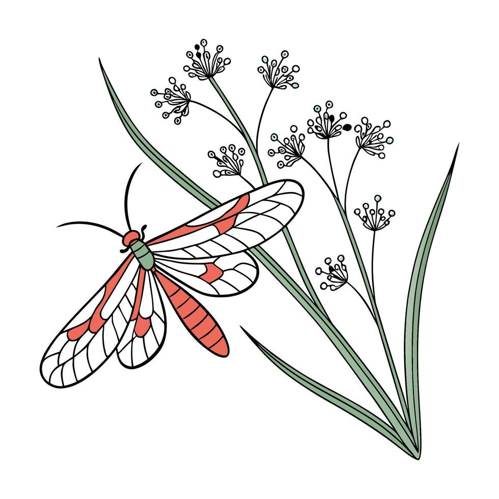 Beautiful Ephemera Vulgata Design vector