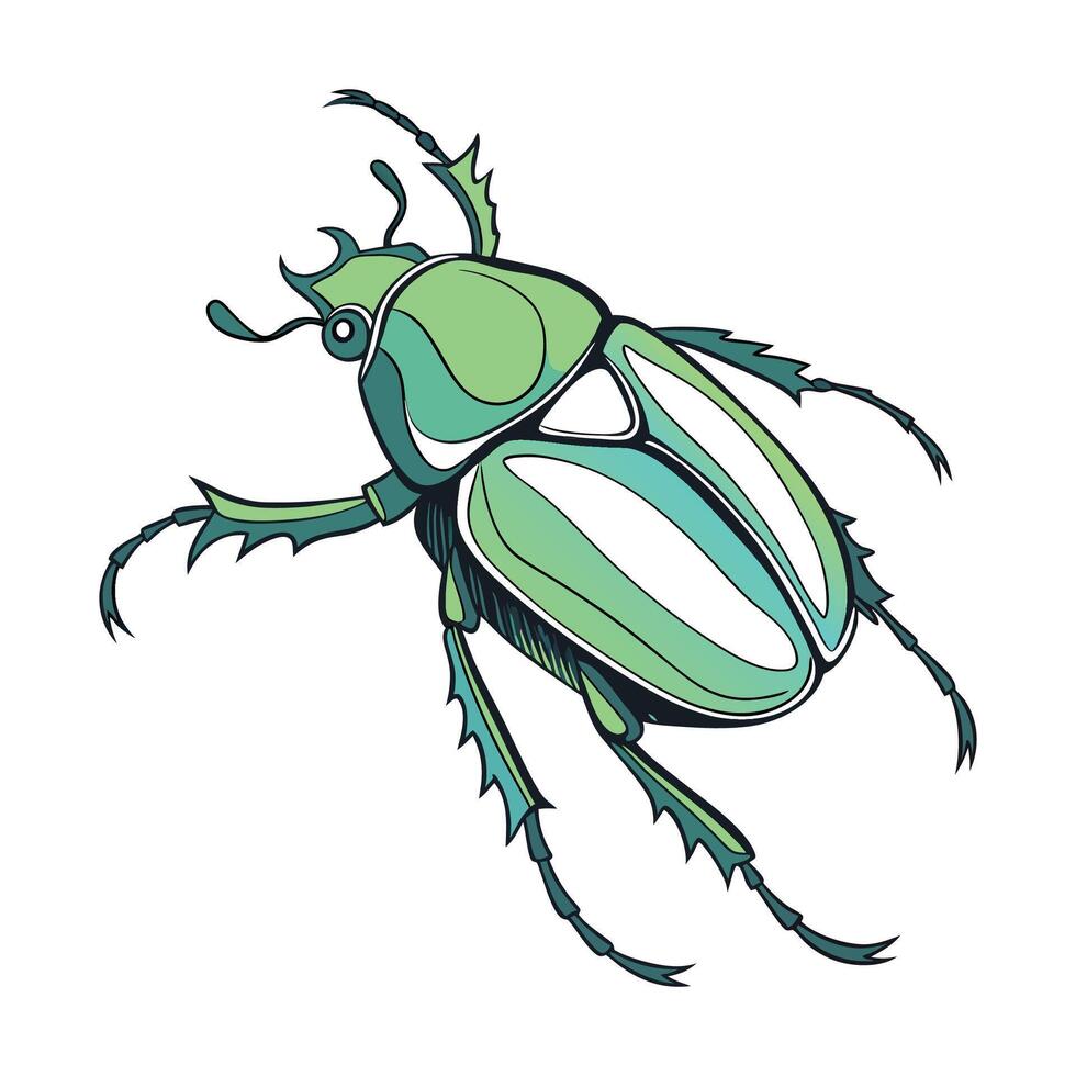 Eudicella Gralli Beetle Design 1 vector